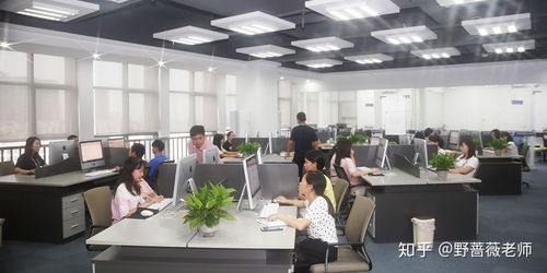 東莞東城電商淘寶運營與美工培訓(xùn) 賦能企業(yè)，開啟數(shù)字商業(yè)新篇章
